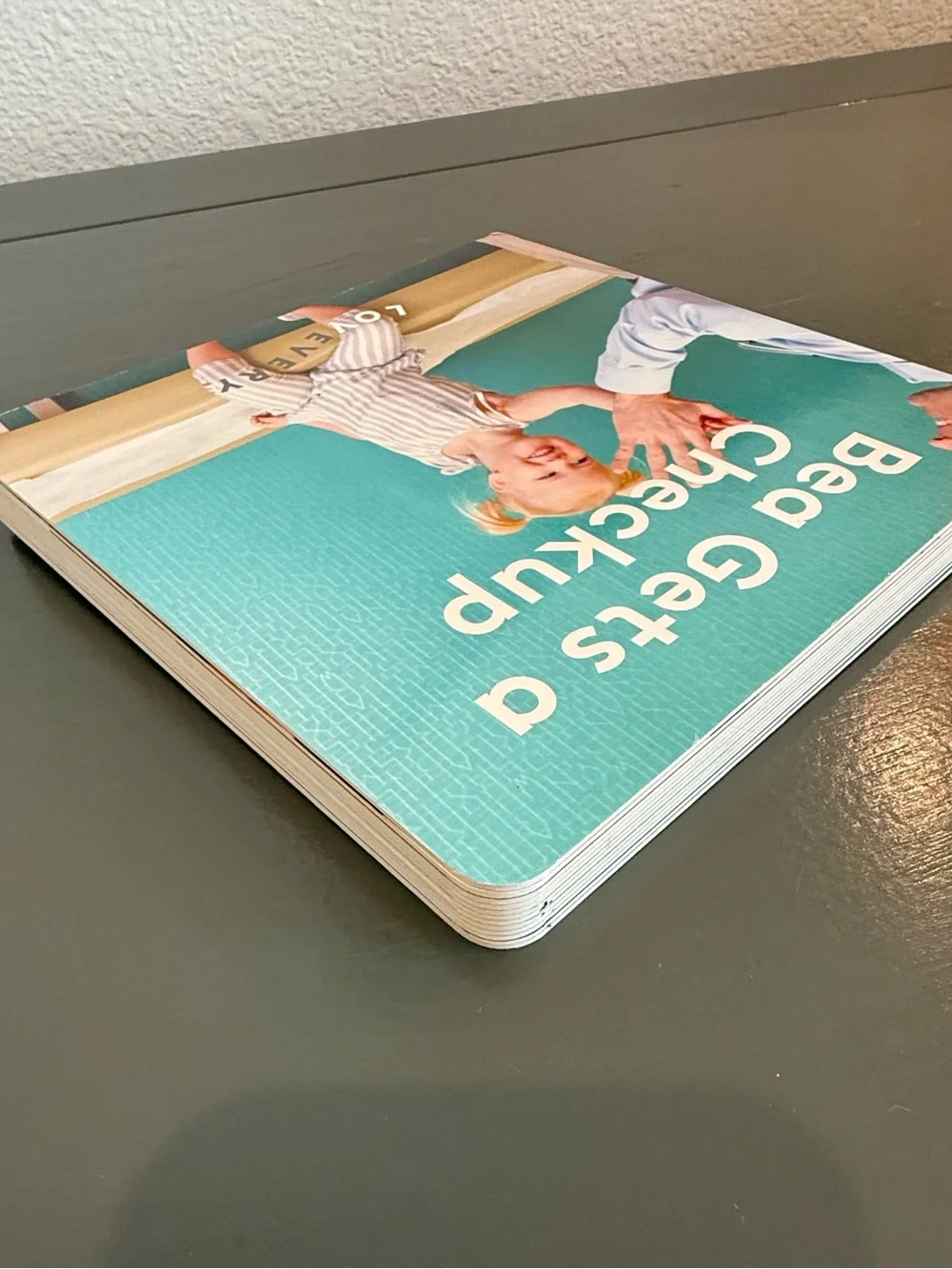 LOVEVERY Bea Gets a Checkup Boardbook